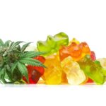 CBD Gummies