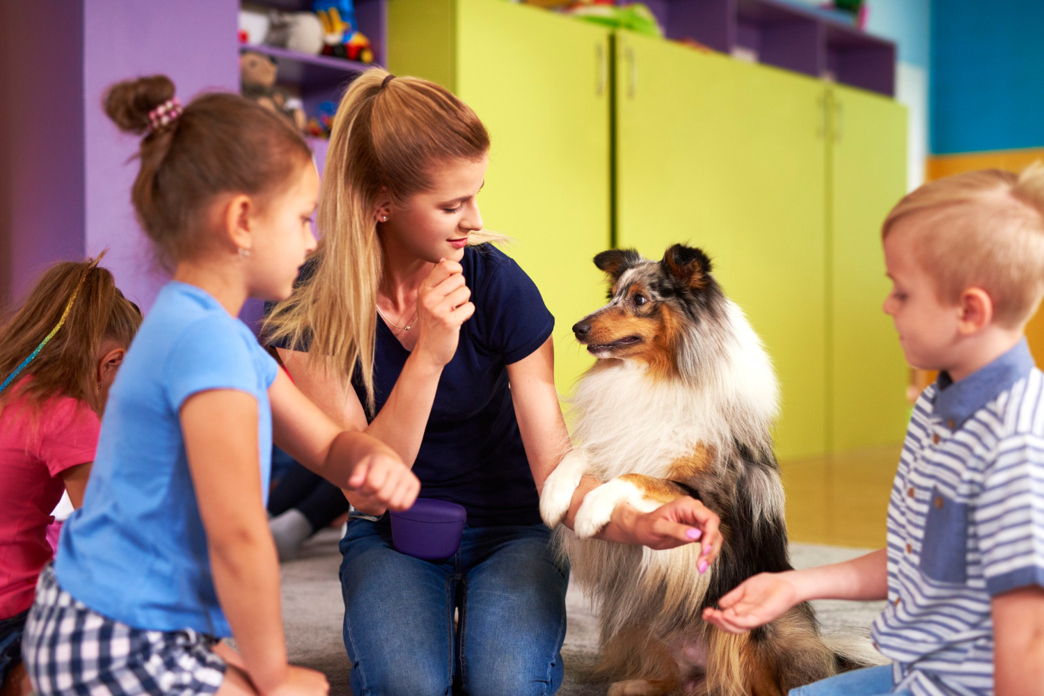 doggy daycare near me