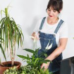 potting plants